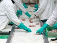 Solutions pour le secteur agroalimentaire au Maroc et Afrique du Nord par Raoul Lenoir distribué par GIRTECH SERVICES Ingénierie et réalisations de techniques industrielles, au Maroc et Afrique du Nord | Girtech